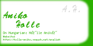 aniko holle business card